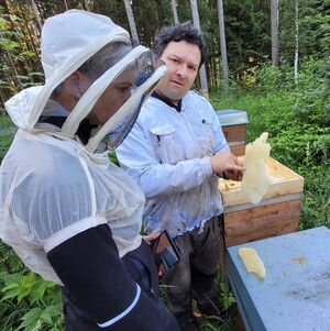 Bienenpatenschaft-Anja-Ruecker Bienenpatenschaft-Anja-Ruecker